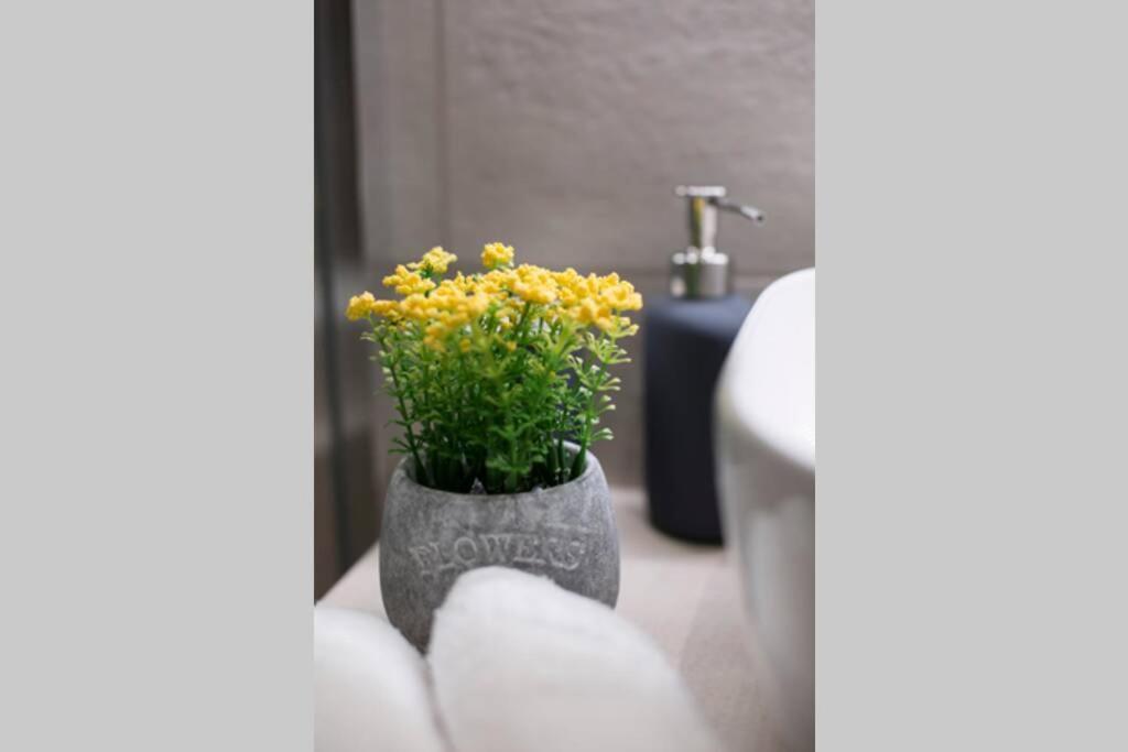 City Center Modern Renovated Apartment Atena Exterior foto